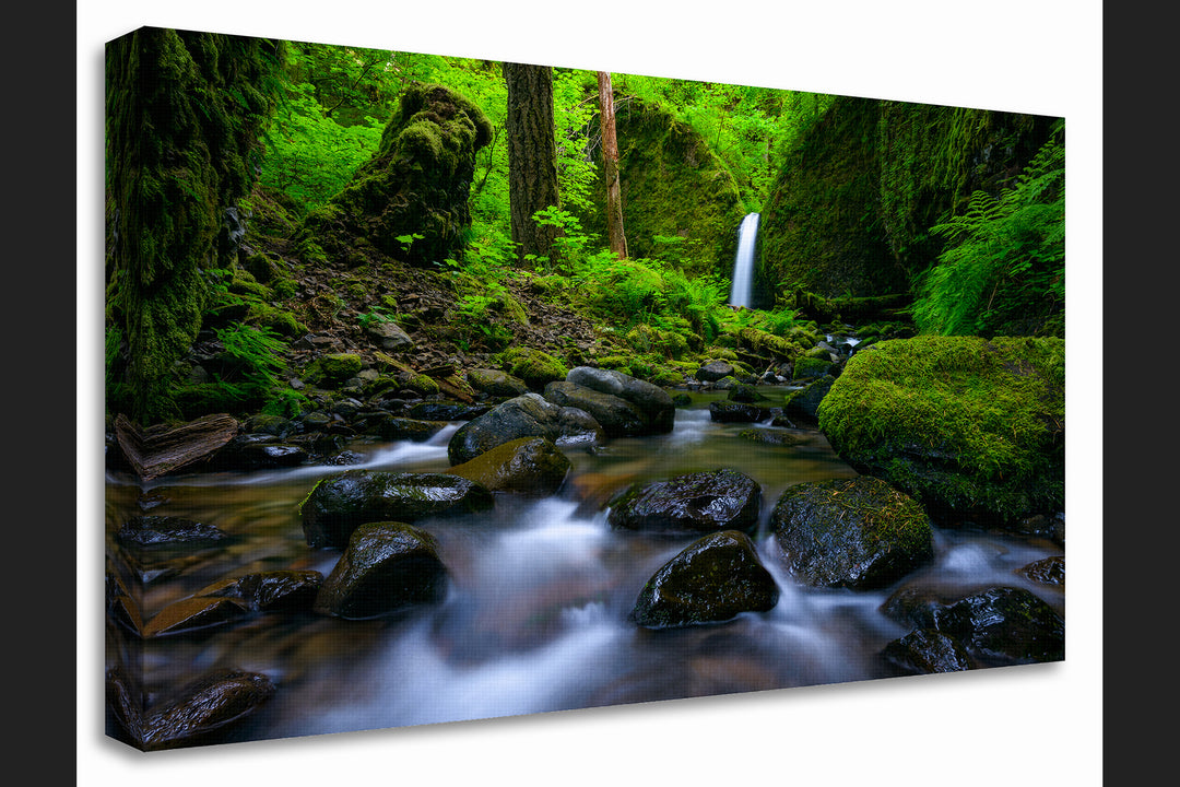 Mossy Grotto Falls, Columbia River Gorge, OR - Canvas Gallery Wrap