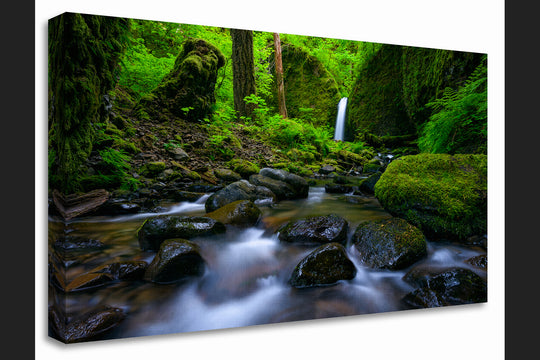 Mossy Grotto Falls, Columbia River Gorge, OR - Canvas Gallery Wrap