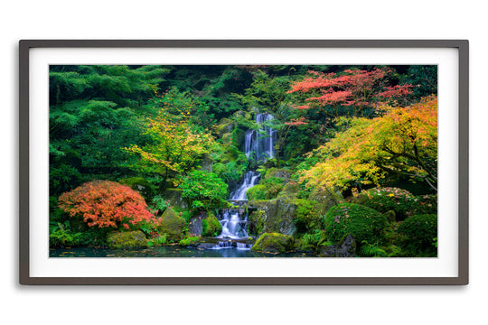 Autumn Colors at Portland Japanese Garden, OR - Framed Lustre Print