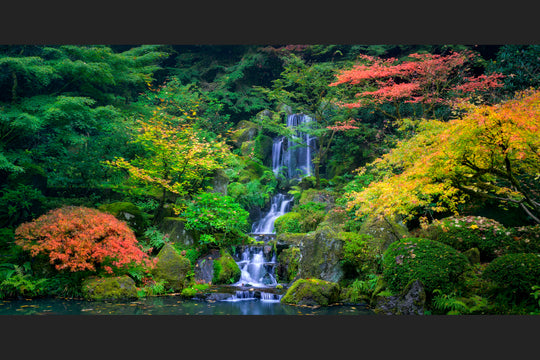 The Secret Garden, Portland, Oregon