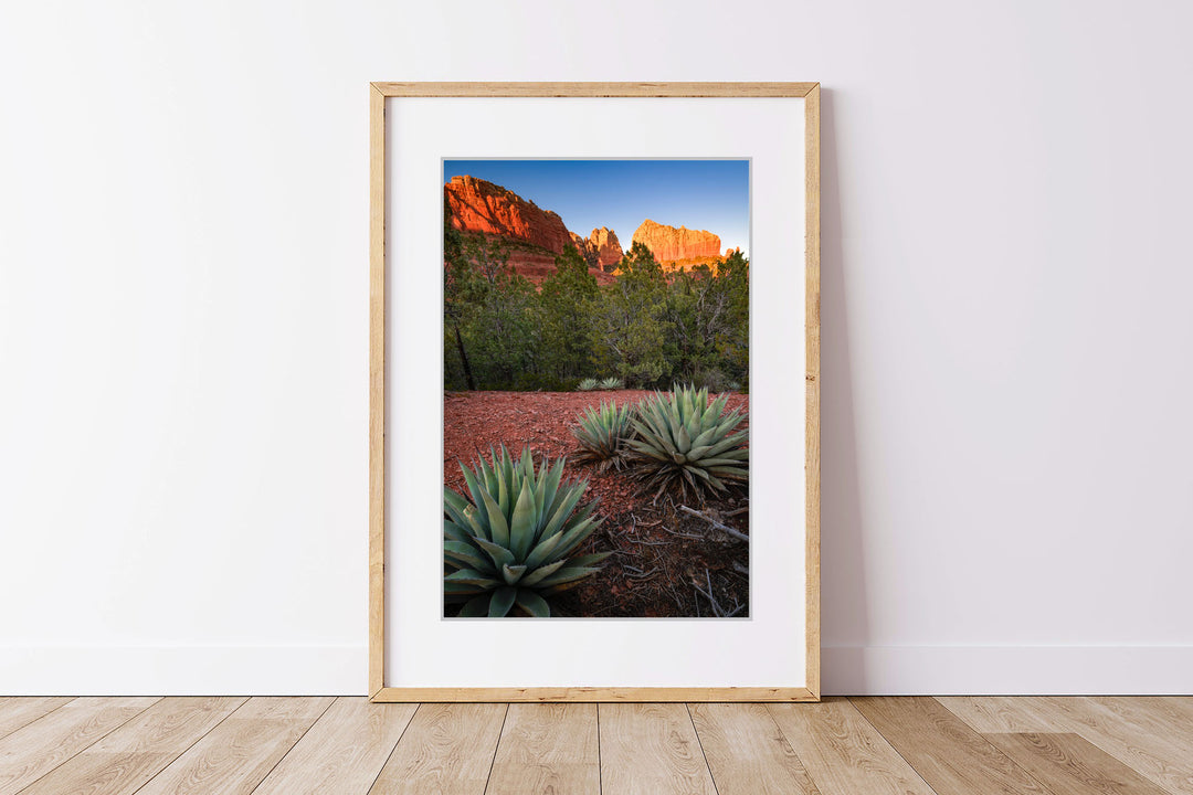 Canyon Cliffs and Agave, Sedona, AZ - Framed Lustre Print