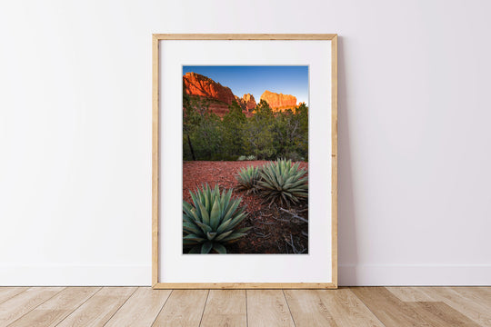 Canyon Cliffs and Agave, Sedona, AZ - Framed Lustre Print