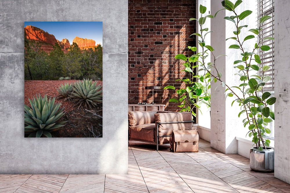 Canyon Cliffs and Agave, Sedona, AZ - Metal Print