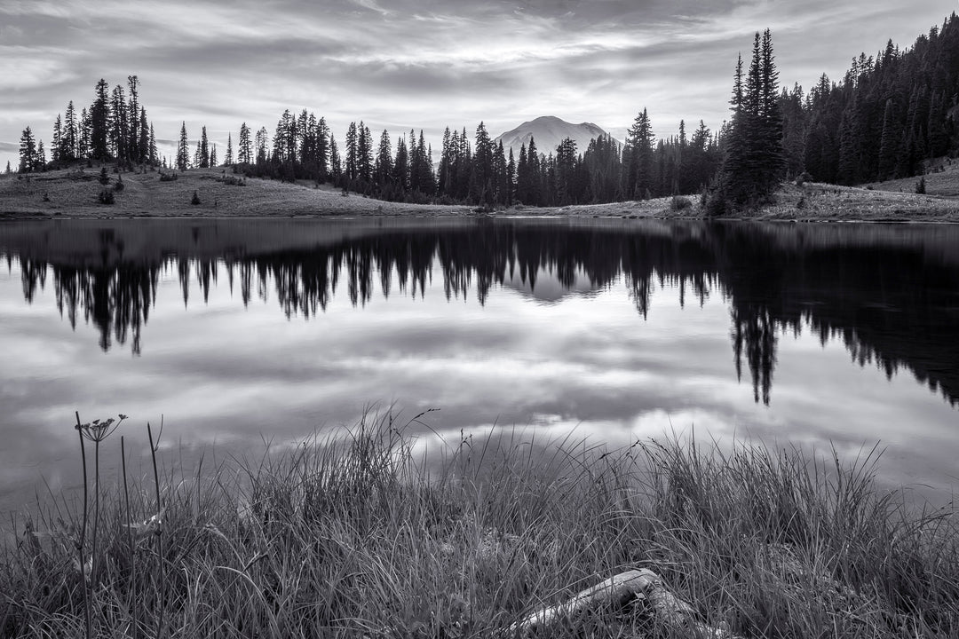 Tipsoo Lake and Mount Rainier, Washington Black & White