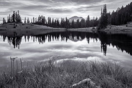 Tipsoo Lake and Mount Rainier, Washington Black & White
