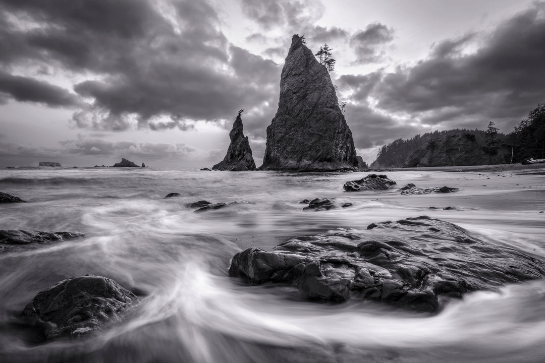 Rialto Beach Black & White, Olympic National Park, WA