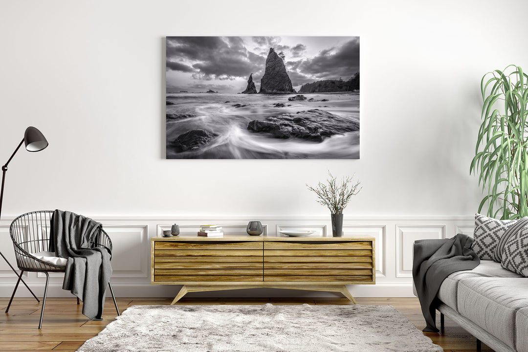 Rialto Beach Black & White, Olympic National Park, WA - Metal Print