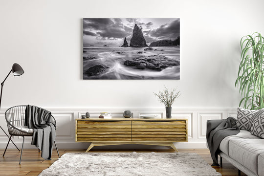 Rialto Beach Black & White, Olympic National Park, WA - Metal Print