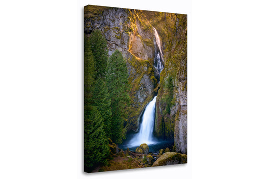 Wahclella Falls, Columbia River Gorge, OR - Canvas Gallery Wrap